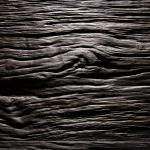 2511 - BLOCKWOOD - Mooreiche - Echtholzfurnier