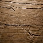 2512 - OLD NATURE - Oak smoked - Real wood veneer