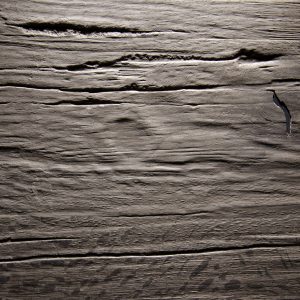 [:de]Old Nature Eiche grau Holz in Form [:en]Old Nature oak grey Holz in Form[:]