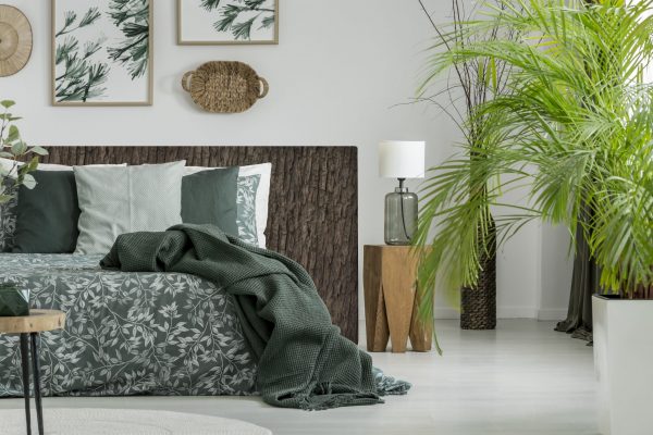 Rinde Holz in Form