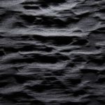 2584 - SMOOTH BARK - Black Ash optic lacquered - Fineline veneer