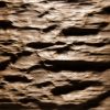 2584 - SMOOTH BARK - eiche-geraeuchert-echtholzfurnier