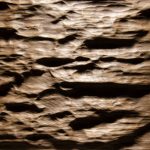 2584 - SMOOTH BARK - Eiche geräuchert - Echtholzfurnier