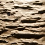 2584 - SMOOTH BARK - Eiche rustikal - Echtholzfurnier