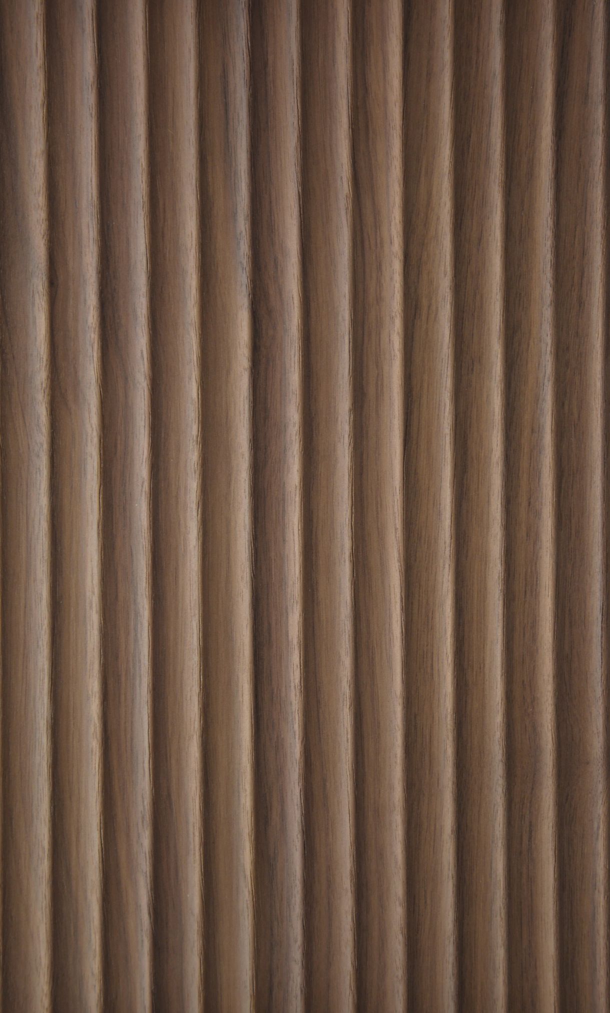 2636 - Cave - Heartwood walnut - Real wood veneer